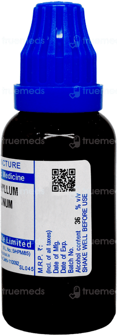 Sbl Bryophyllum Calycinum Q Mother Tincture 30 ML