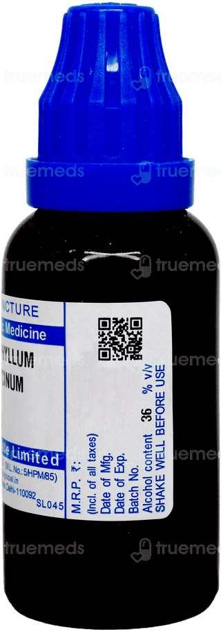 Sbl Bryophyllum Calycinum Q Mother Tincture 30 ML