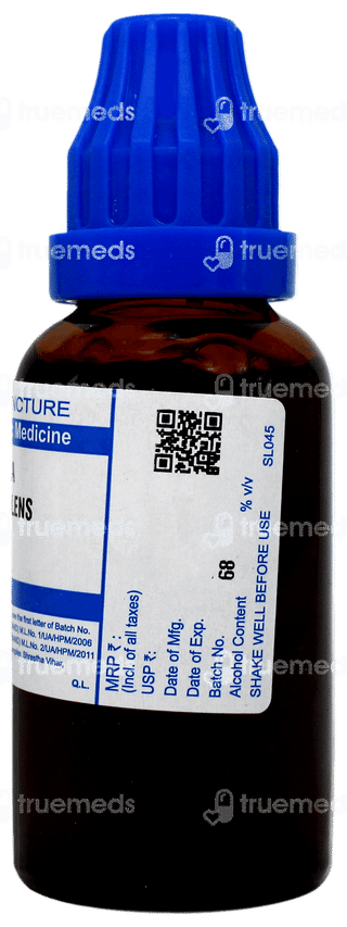 Sbl Ruta Graveolens Q Mother Tincture 30ml