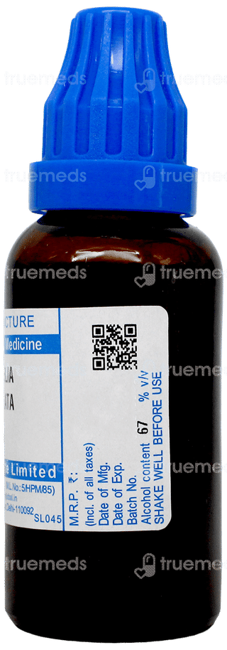 Sbl Lobelia Inflata Q Mother Tincture 30Ml