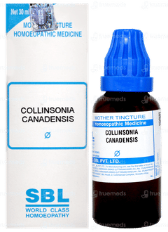 Sbl Collinsonia Canadensis Q Mother Tincture 30 ML Sbl Collinsonia Canadensis Q Mother Tincture 30 ML