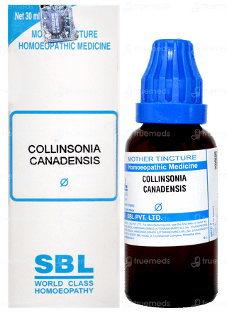 Sbl Collinsonia Canadensis Q Mother Tincture 30 ML