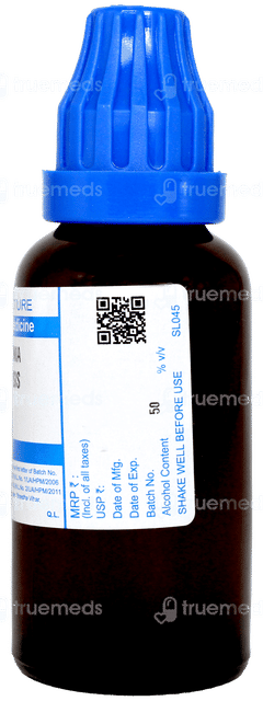 Sbl Collinsonia Canadensis Q Mother Tincture 30 ML