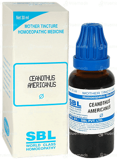 Sbl Ceanothus Americanus Q Mother Tincture 30 ML