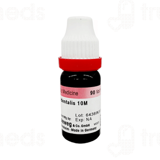 Sbl Thuja Occidentalis 10m Ch Dilution 30 ML