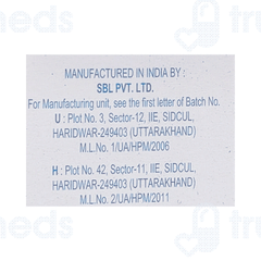 Sbl Nux Vomica Q Mother Tincture 30ml