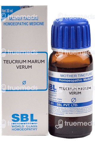 Sbl Teucrium Marum Verum Q Mother Tincture 30 ML