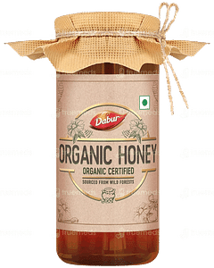 Dabur Organic Honey 300gm