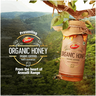 Dabur Organic Honey 300gm