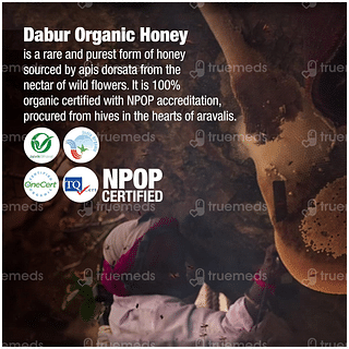 Dabur Organic Honey 300gm