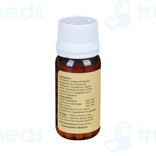 Medisynth Gasgan Pills 25gm