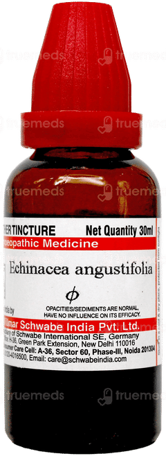 Dr Willmar Schwabe Echinacea Angustifolia Q Mother Tincture 30Ml Dr Willmar Schwabe Echinacea Angustifolia Q Mother Tincture 30Ml