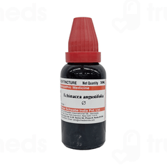 Dr Willmar Schwabe Echinacea Angustifolia Q Mother Tincture 30ml Dr Willmar Schwabe Echinacea Angustifolia Q Mother Tincture 30ml