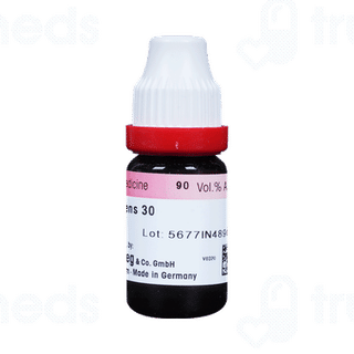 Dr Reckeweg Ruta Graveolens 30 Ch Dilution 11 ML