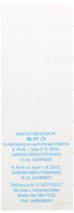 Sbl Zingiber Q Mother Tincture 30Ml