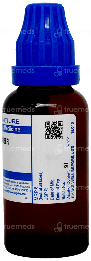 Sbl Zingiber Q Mother Tincture 30Ml