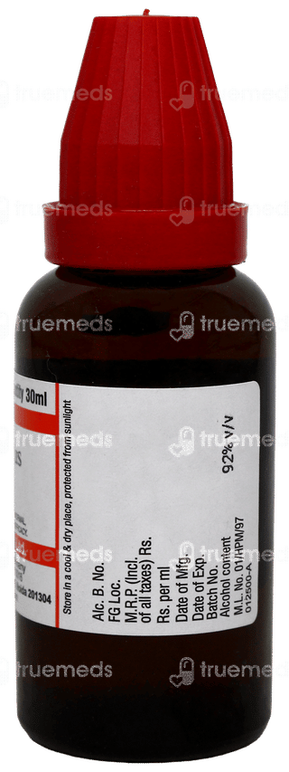 Dr Willmar Schwabe Agnus Castus Q Mother Tincture 30Ml