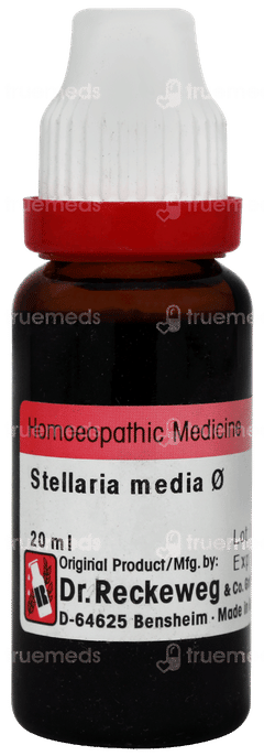 Dr Reckeweg Stellaria Media Q Mother Tincture 20ml Dr Reckeweg Stellaria Media Q Mother Tincture 20ml