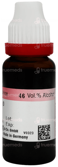 Dr Reckeweg Stellaria Media Q Mother Tincture 20ml