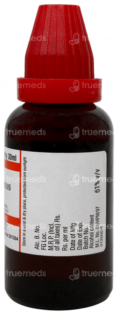 Dr Willmar Schwabe Fucus Vesiculosus Q Mother Tincture 30ml