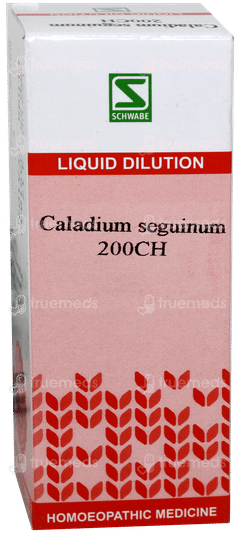 Dr Willmar Schwabe Caladium Seguinum 200ch Dilution 30ml Dr Willmar Schwabe Caladium Seguinum 200ch Dilution 30ml