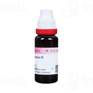 Dr Reckeweg Carduus Mar Q Mother Tincture 20ml