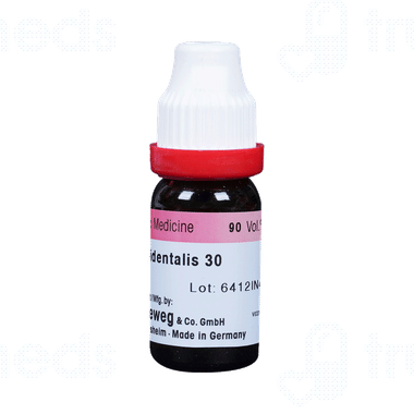 Dr Reckeweg Thuja Occ 30 Ch Dilution 11 Ml - Uses, Side Effects, Dosage,  Price | Truemeds