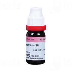 Dr Reckeweg Thuja Occ 30ch Dilution 11ml