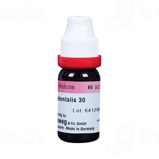 Dr Reckeweg Thuja Occ 30ch Dilution 11ml