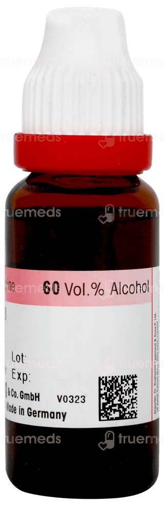 Dr Reckeweg Ginkgo Biloba Q Mother Tincture 20ml