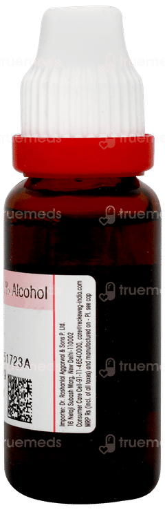 Dr Reckeweg Ginkgo Biloba Q Mother Tincture 20ml