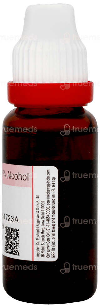 Dr Reckeweg Ginkgo Biloba Q Mother Tincture 20ml