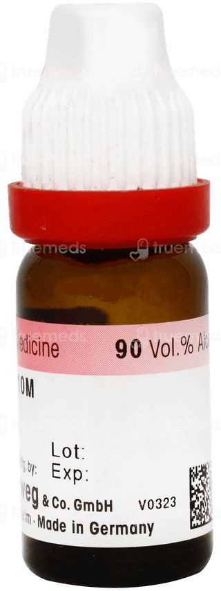 Dr Reckeweg Nux Vomica 10m Dilution 11ml