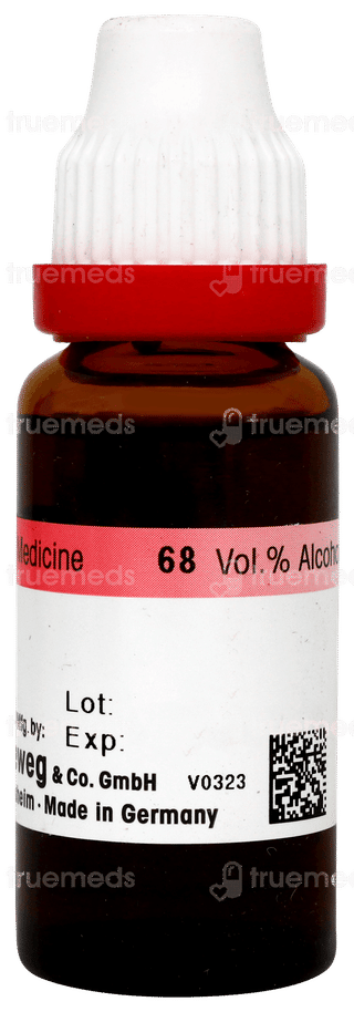 Dr Reckeweg Alfalfa Q Mother Tincture 20ml