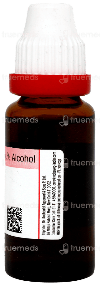 Dr Reckeweg Alfalfa Q Mother Tincture 20ml