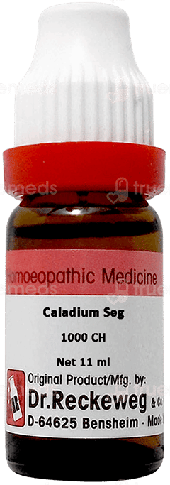 Dr Reckeweg Caladium Seg 1000Ch Dilution 11Ml