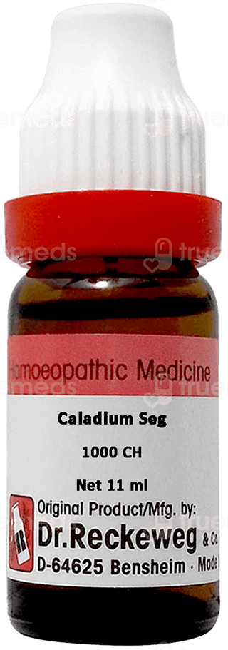 Dr Reckeweg Caladium Seg 1000Ch Dilution 11Ml