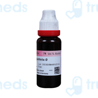 Dr Reckeweg Echinacea Ang Q Mother Tincture 20Ml