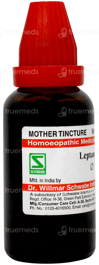 Dr Willmar Schwabe Leptandra Q Mother Tincture 30ml