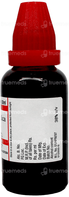 Dr Willmar Schwabe Cephalandra Indica Q Mother Tincture 30Ml Dr Willmar Schwabe Cephalandra Indica Q Mother Tincture 30Ml