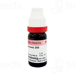 Dr Reckeweg Spongia Tosta 200 Ch Dilution 11 ML