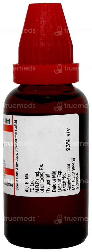 Dr Willmar Schwabe Zingiber Q Mother Tincture 30ml