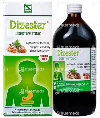 Dr Willmar Dizester Digestive Sugar Free Tonic 500 ML