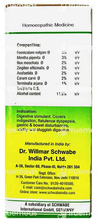 Dr Willmar Schwabe Dizester Digestive Sugar Free Tonic 500ml