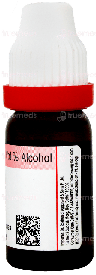 Dr Reckeweg Aalserum 30ch Dilution 11ml