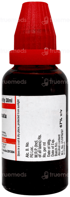 Dr Willmar Schwabe Sterculia Acuminata Q Mother Tincture 30Ml