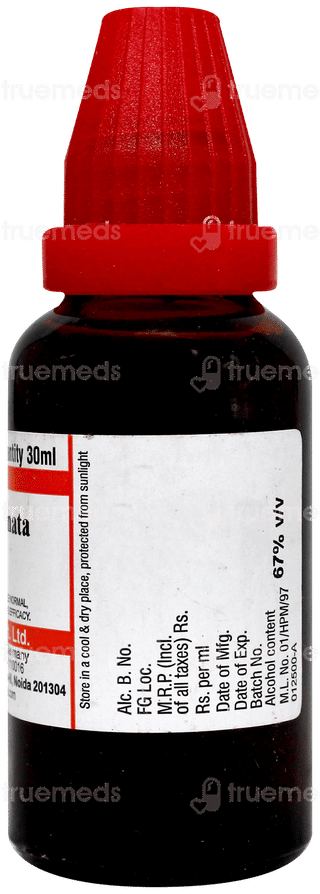Dr Willmar Schwabe Sterculia Acuminata Q Mother Tincture 30Ml
