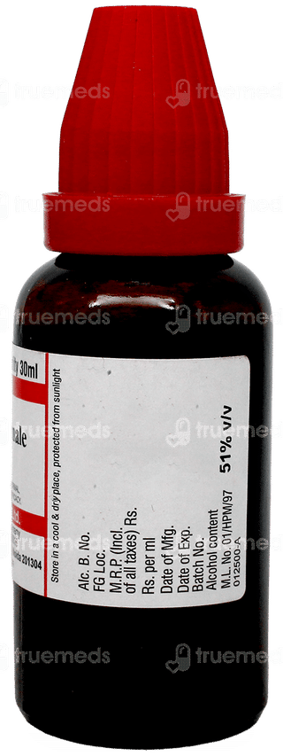 Dr Willmar Colchicum Autumnale Q Mother Tincture 30Ml