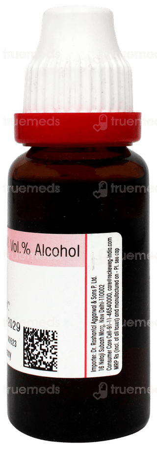 Dr Reckeweg Hamamelis Virginica Q Mother Tincture 20ml