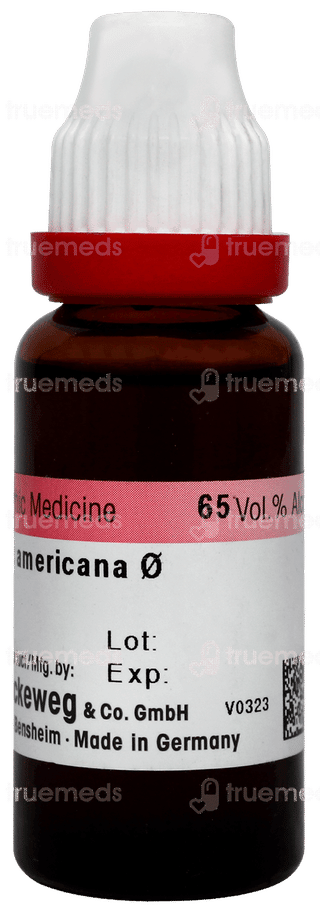 Dr Reckeweg Fraxinus Americana Q Mother Tincture 20ml